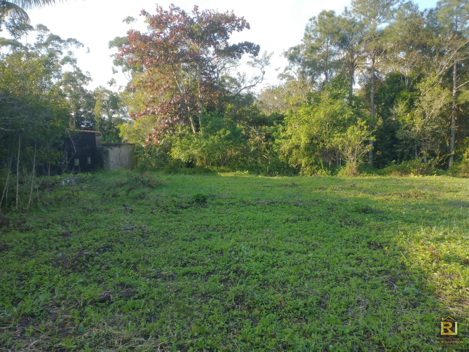 Área,Chácara Caraguava - Peruibe (Cód. 78) em Peruibe - foto 2